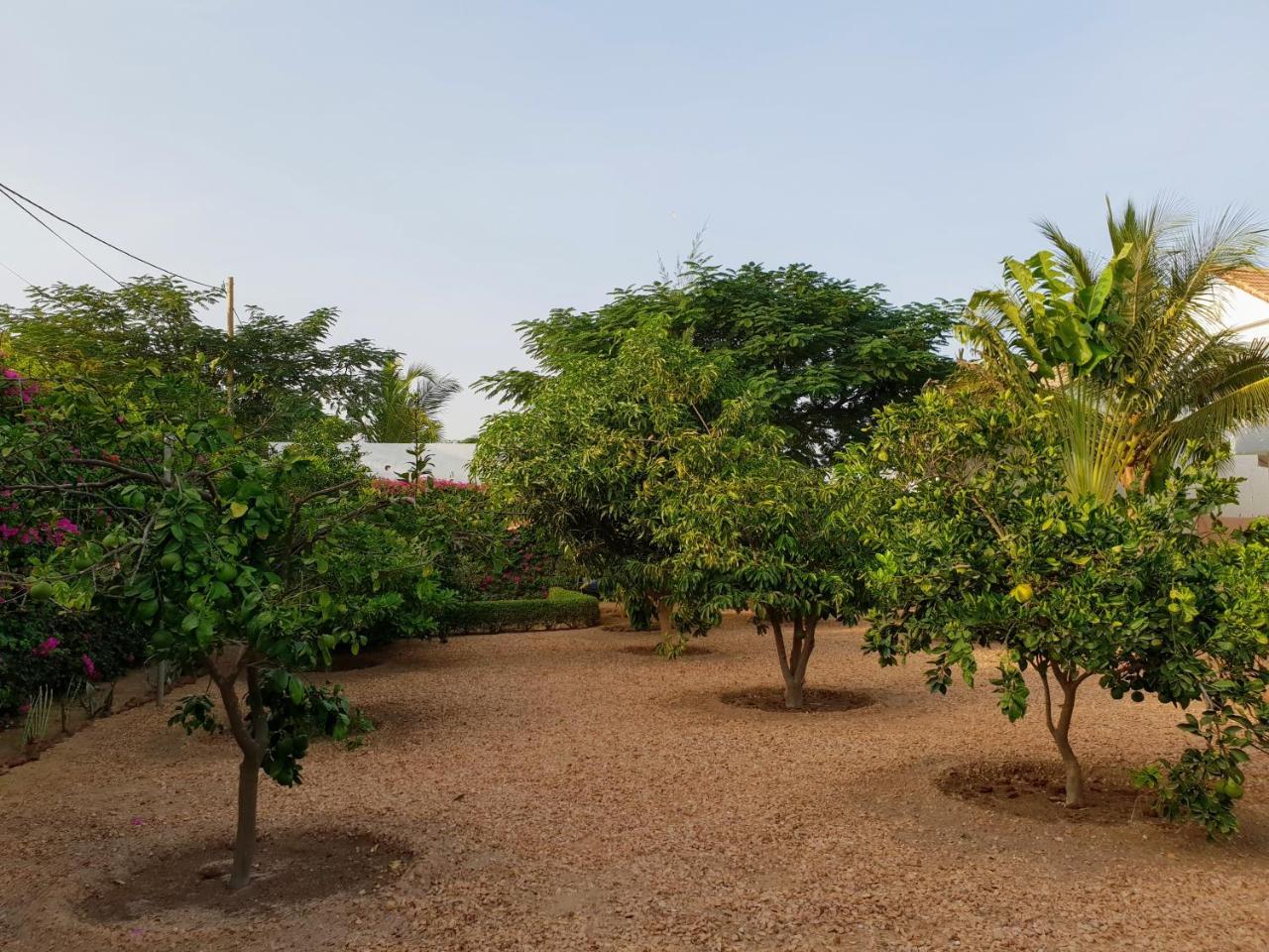 La Maison Blanche A Ngaparou, Splendide Villa Contemporaine 外观 照片